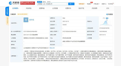 人工智能应用软件开发 开启智能未来的关键