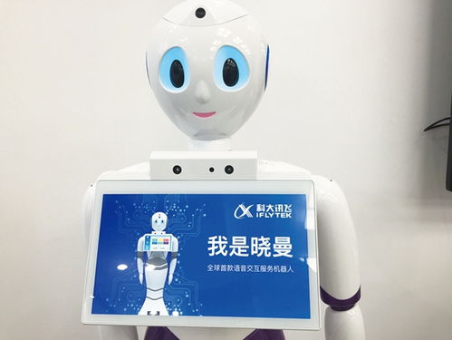 人工智能 掠夺者还是创造者？应用软件开发的双面视角